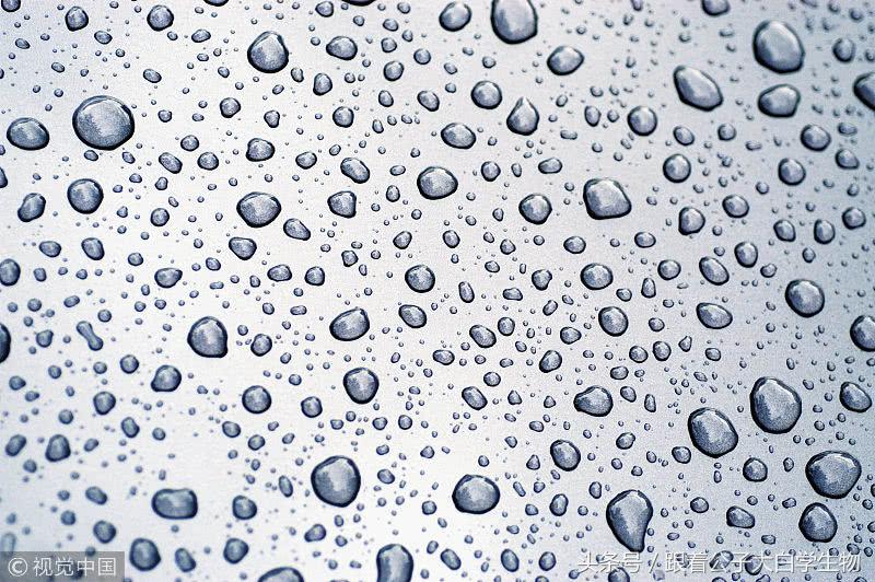 滚床单能让阴部更快乐吗?当然可以,那会让你更健康!多喝水吧