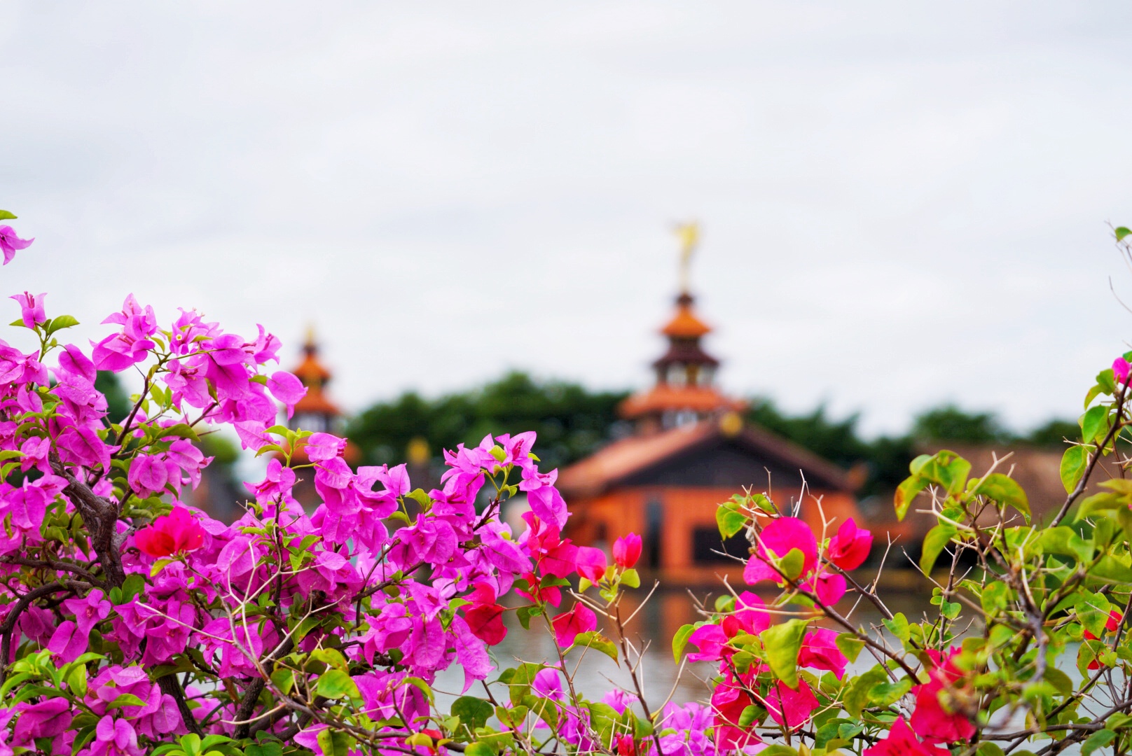 慢行曼谷，和宝贝一起圆一个少年英雄梦