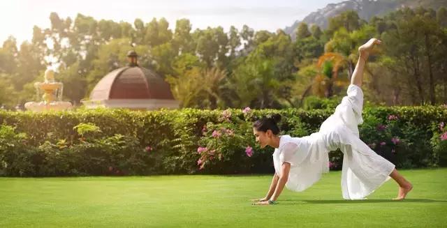 美俪阿萨娜瑜伽老师,深圳龙华美俪阿萨娜瑜伽直播视频