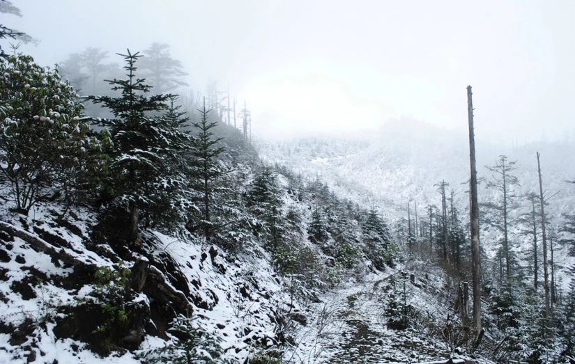 百慕大黑竹沟未解之谜,黑竹沟百慕大三角探险