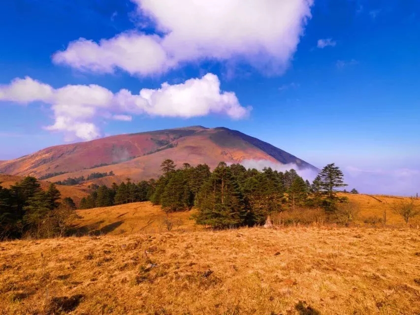 百慕大黑竹沟未解之谜,黑竹沟百慕大三角探险