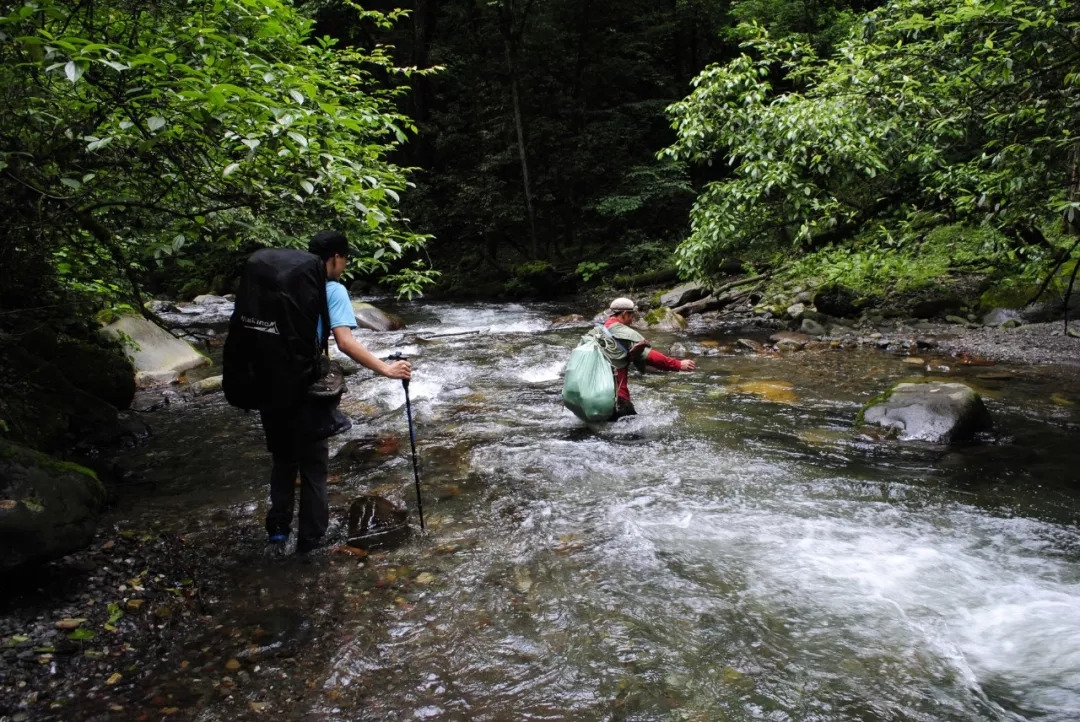 百慕大黑竹沟未解之谜,黑竹沟百慕大三角探险