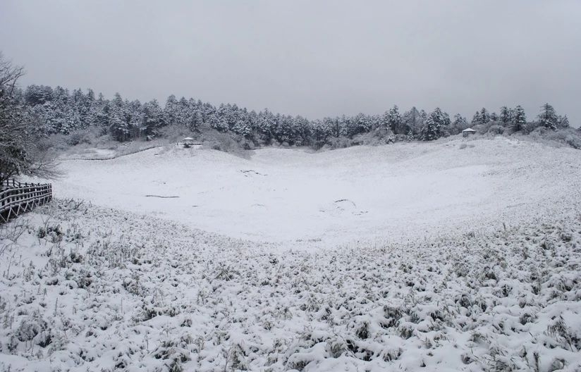 百慕大黑竹沟未解之谜,黑竹沟百慕大三角探险