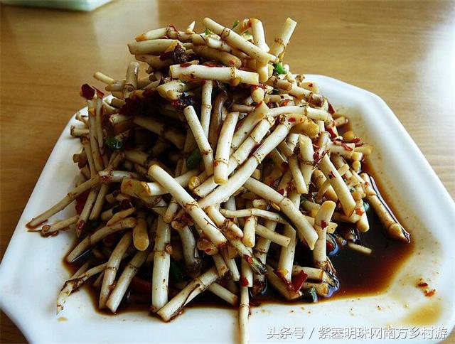 紫塞明珠农家乐围场,紫塞明珠农家自由行