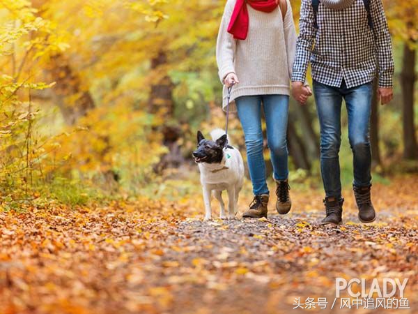 40岁男士礼物排行榜实用生日礼物,送什么生日礼物给男生比较好推荐
