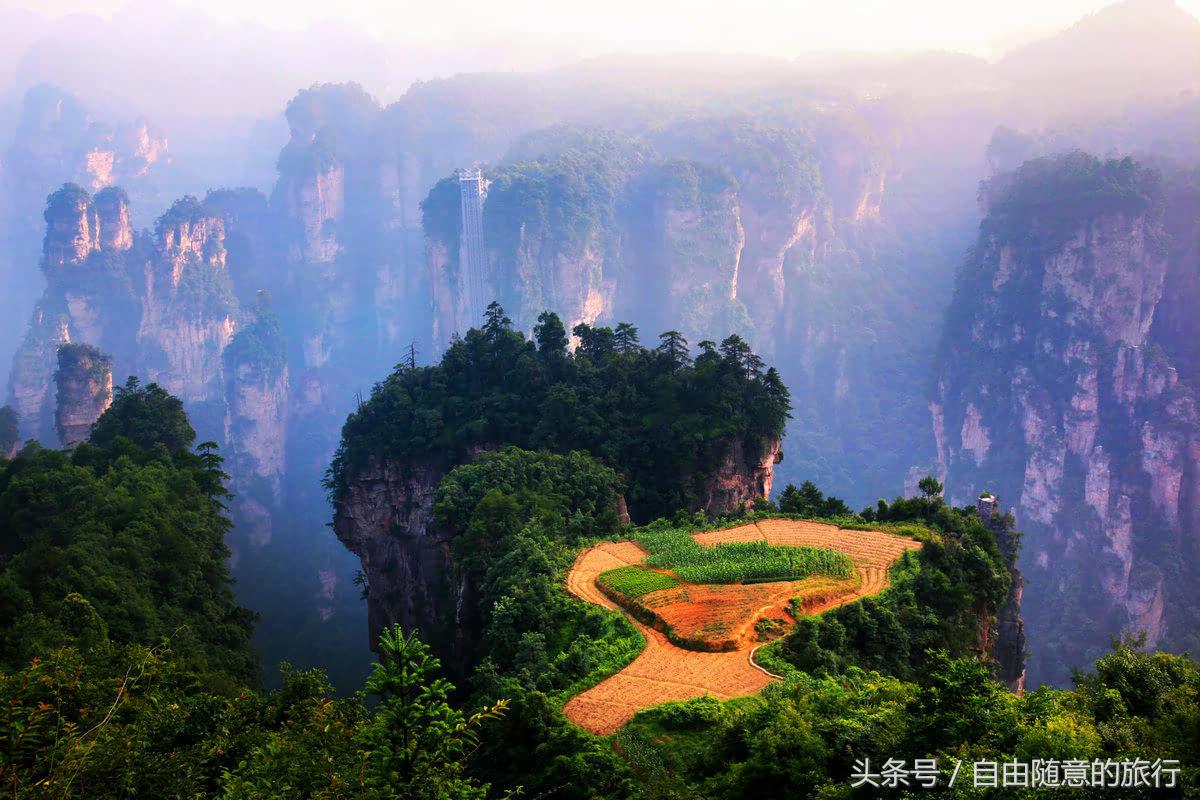 张家界跟团和自由行,张家界游玩是自由行还是跟团好