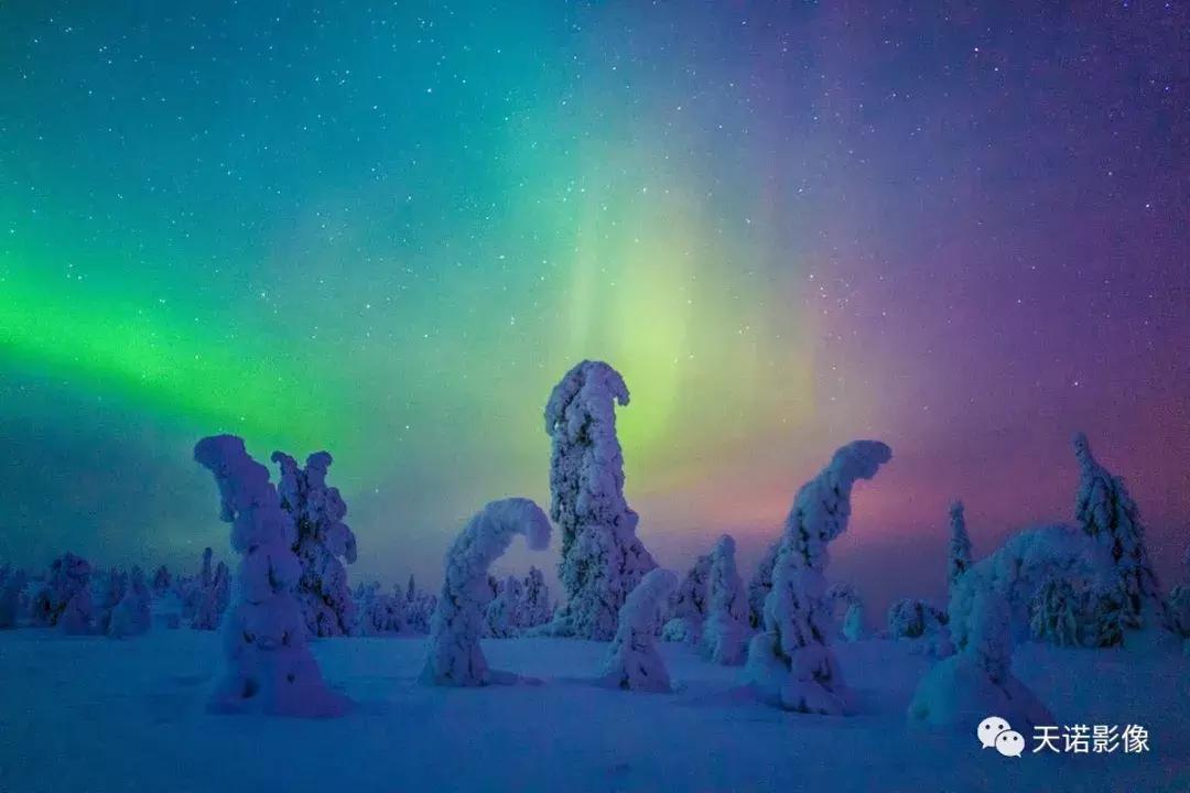 徕卡qtype116专业测评,徕卡qtype116