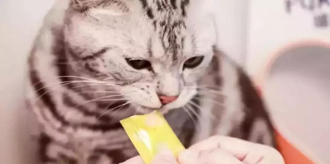 雀巢普瑞纳大中华大区,雀巢普瑞纳宠物食品公司怎么样