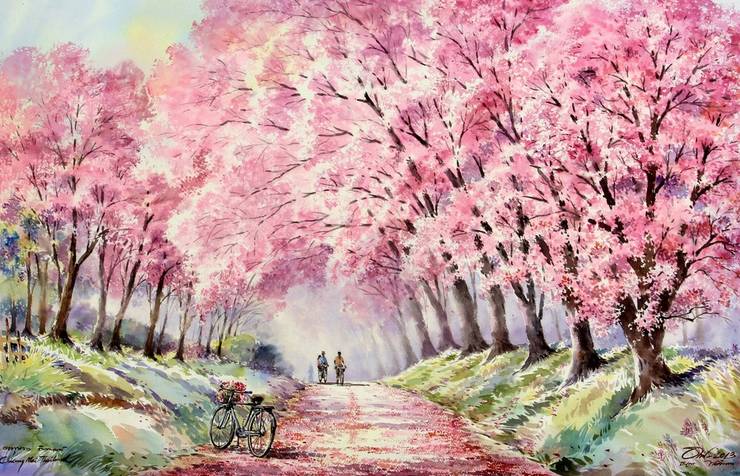 我来自泰国泰语,泰国清迈大学留学有感