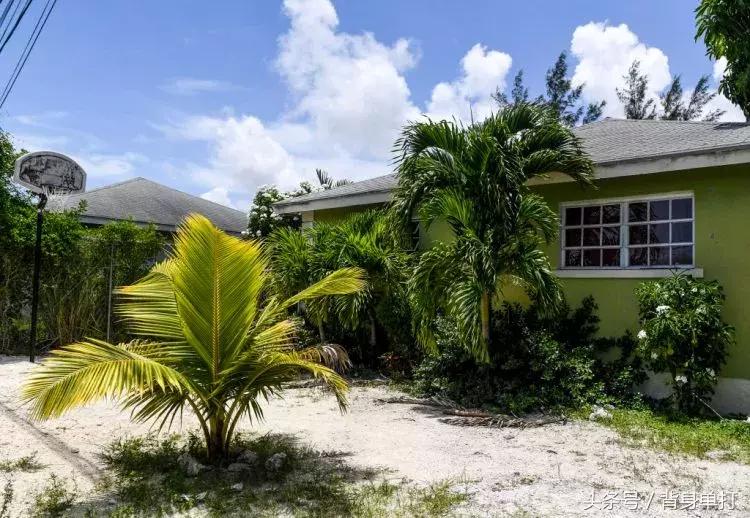 德安德烈艾顿是谁,德安德烈艾顿个人资料