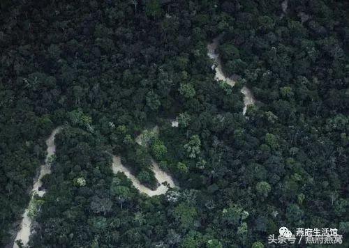 燕窝18克够几个人吃,燕窝top1