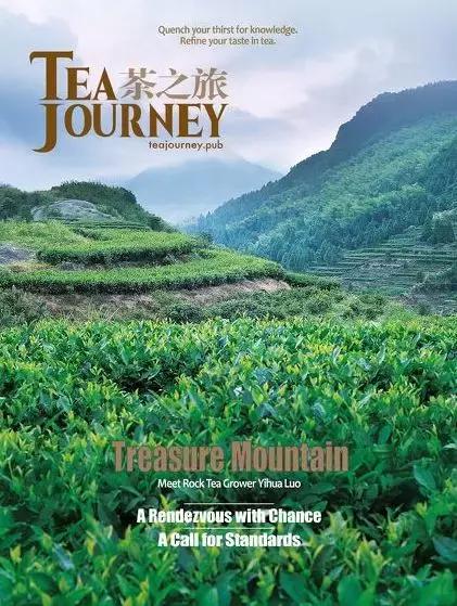 网络信息充斥的时代,网络信息爆炸性增长的什么时代