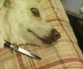 22岁女孩结扎,20岁女生结扎