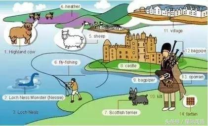 36张图片学英语,36张图记住英文生活用词