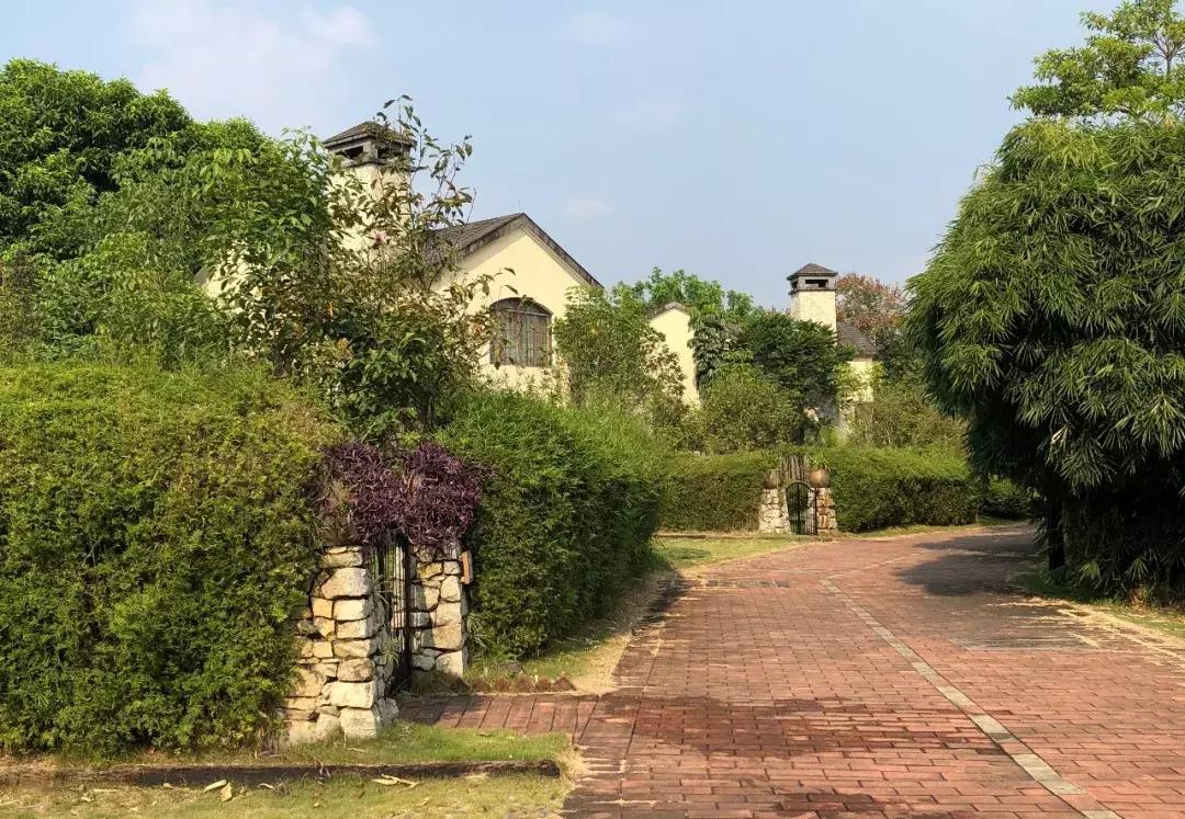 佛冈森波拉温泉冰川水谷,森波拉温泉度假村独栋别墅