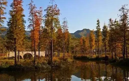 佛冈森波拉温泉冰川水谷,森波拉温泉度假村独栋别墅