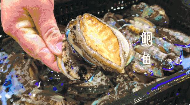 带你到三亚感受不一样的美食美景,三亚旅游必吃的美食清单大全