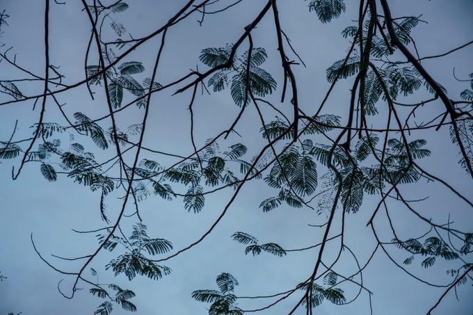 带你到三亚感受不一样的美食美景,三亚旅游必吃的美食清单大全