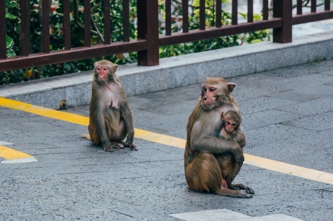 带你到三亚感受不一样的美食美景,三亚旅游必吃的美食清单大全