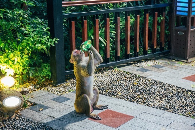 带你到三亚感受不一样的美食美景,三亚旅游必吃的美食清单大全