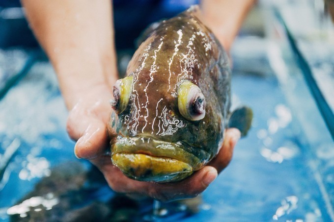 带你到三亚感受不一样的美食美景,三亚旅游必吃的美食清单大全