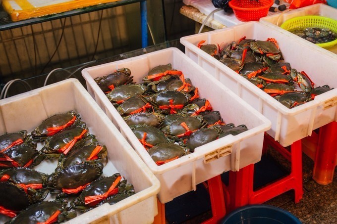 带你到三亚感受不一样的美食美景,三亚旅游必吃的美食清单大全