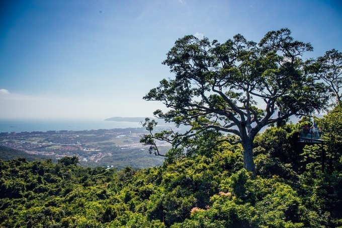 带你到三亚感受不一样的美食美景,三亚旅游必吃的美食清单大全