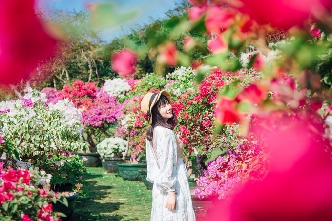 带你到三亚感受不一样的美食美景,三亚旅游必吃的美食清单大全