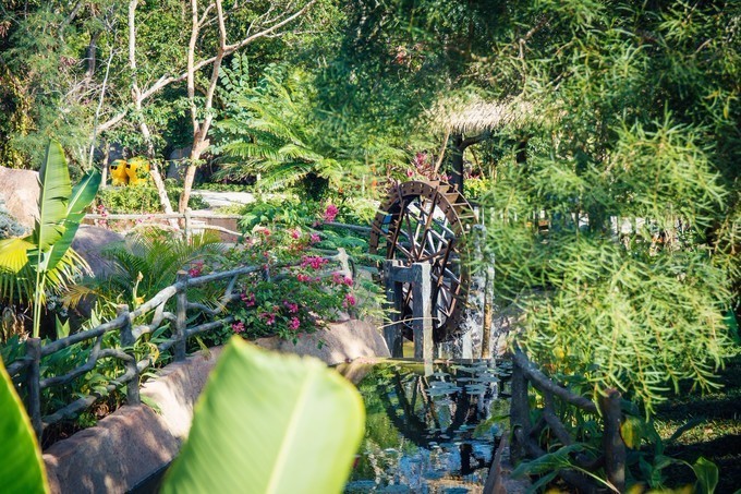 带你到三亚感受不一样的美食美景,三亚旅游必吃的美食清单大全