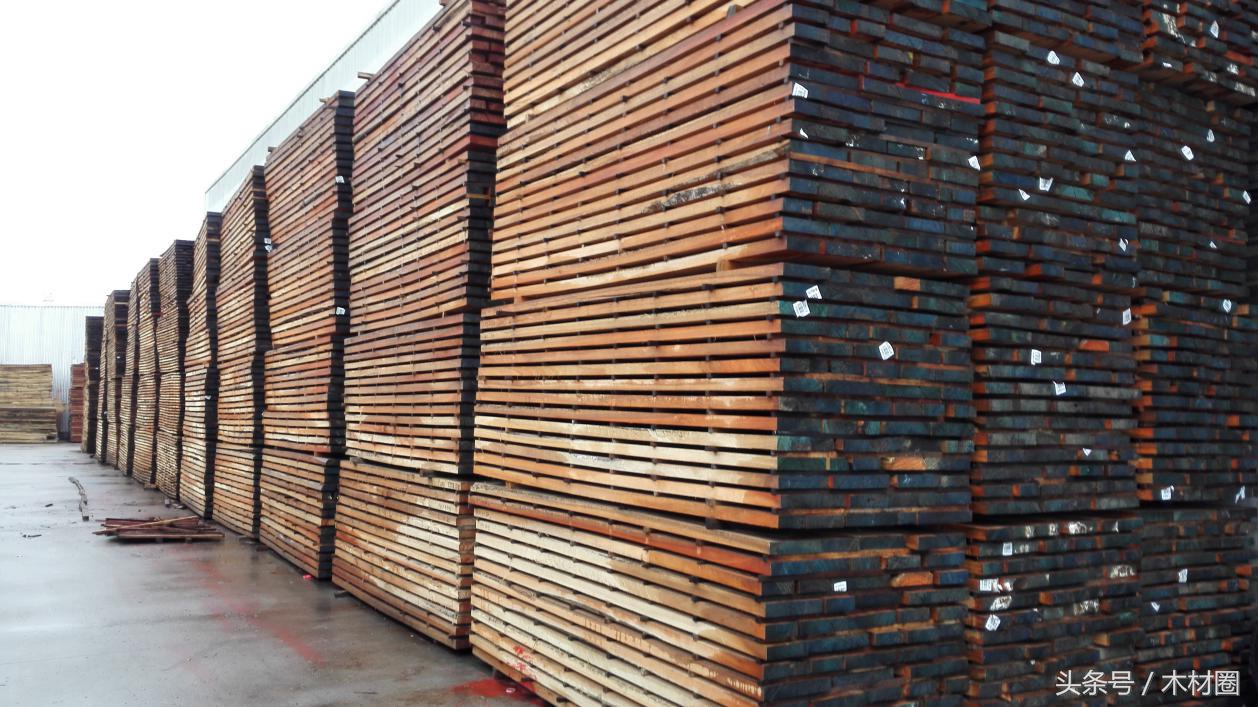 励扬木业的发展趋势,励扬木业