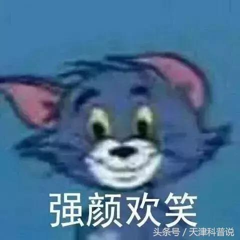 苍蝇飞过食物,苍蝇落在食物上会怎么样