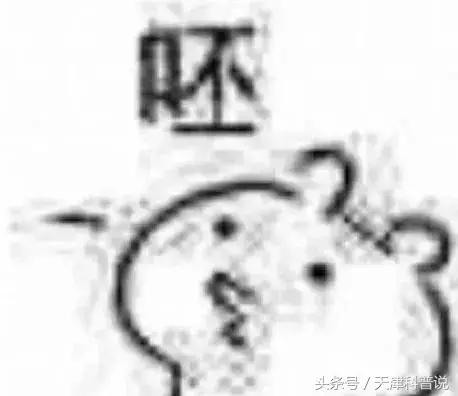 苍蝇飞过食物,苍蝇落在食物上会怎么样