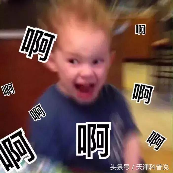 苍蝇飞过食物,苍蝇落在食物上会怎么样