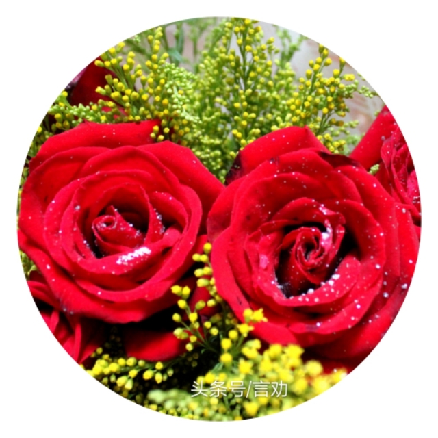 做个真正的蓝颜知己,讲解蓝颜知己