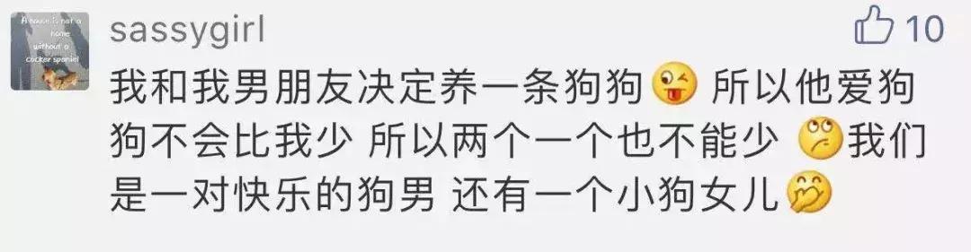 男朋友把猫打了一顿扔出去了,男朋友打我养的猫怎么办