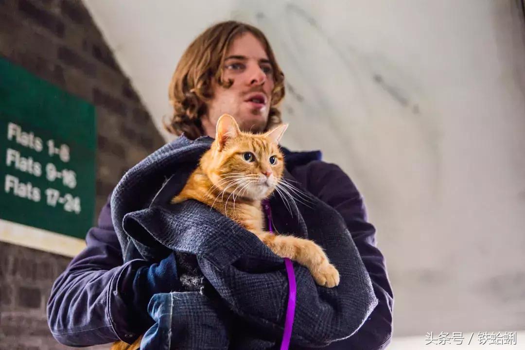 11月院线好看电影,11月电影院上映的电影国产