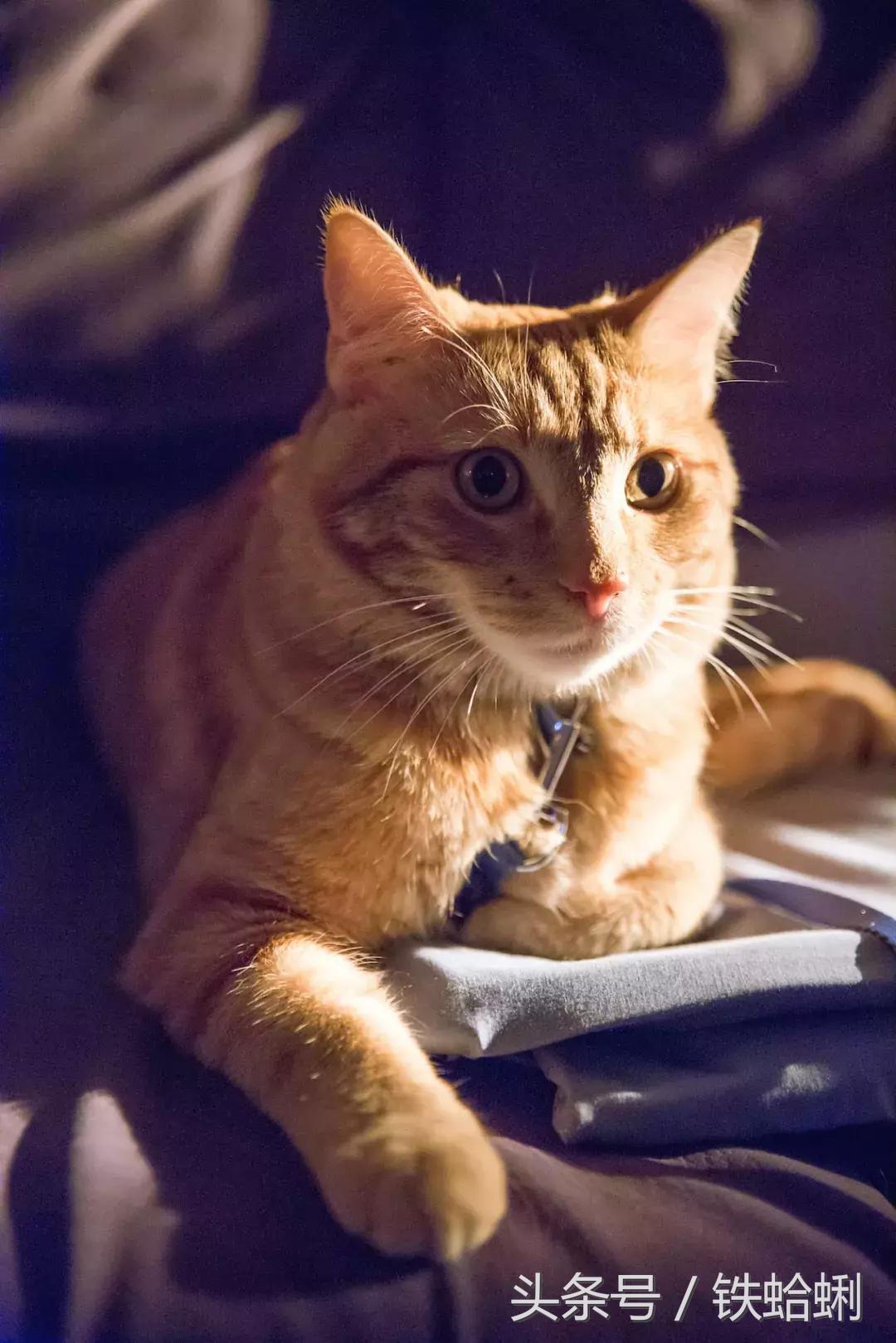 11月院线好看电影,11月电影院上映的电影国产