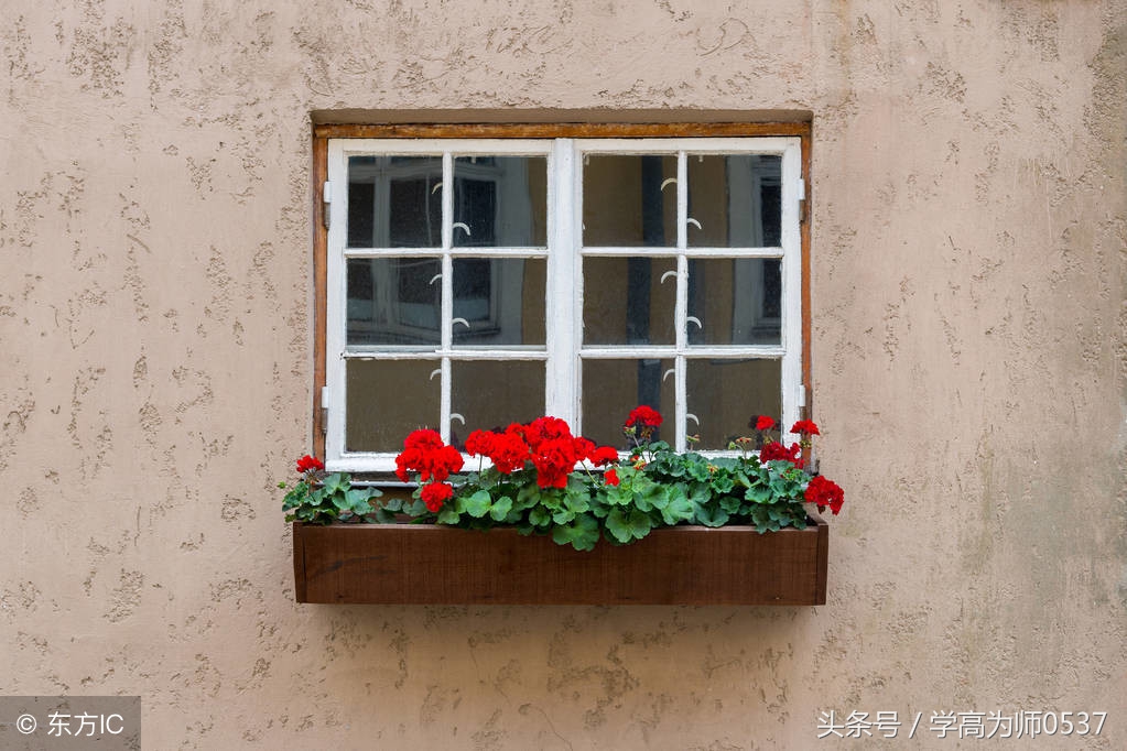 赞美花的古诗词名句,小学生必背古诗词75首写花