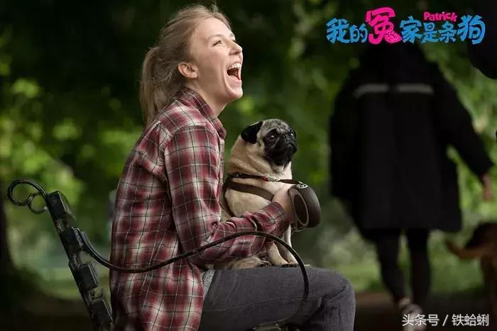 11月院线好看电影,11月电影院上映的电影国产