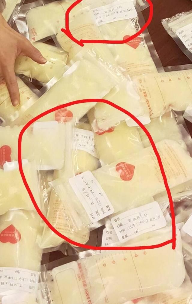 谢楠炫耀吴京合集,谢楠玩炫富挑战完整版