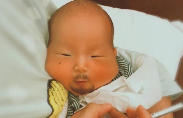 谢楠炫耀吴京合集,谢楠玩炫富挑战完整版