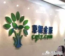 p2p草根投资最新消息,草根投资案完整版