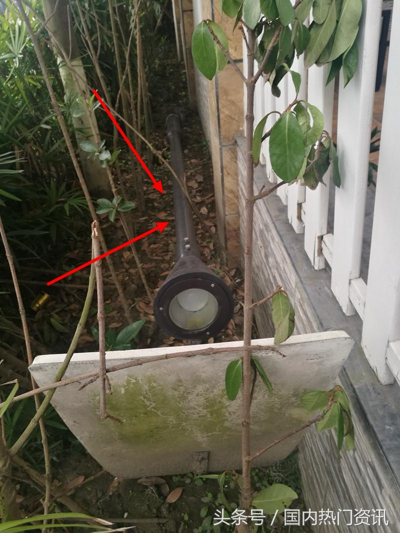 宏达世纪丽景小区好吗,宏达世纪丽景物业