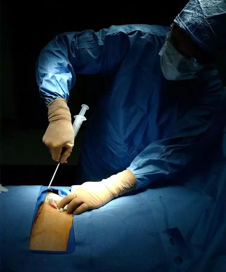 子宫出租实录:能站着挣钱,就别躺着