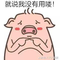 藏香猪卡C位的另类奋斗史