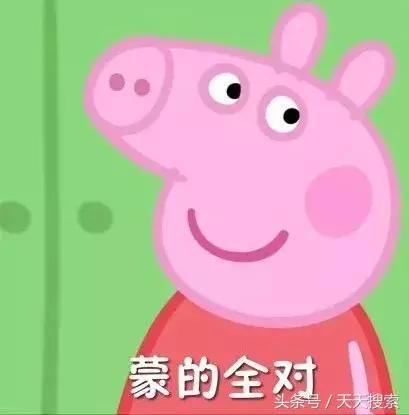 藏香猪卡C位的另类奋斗史