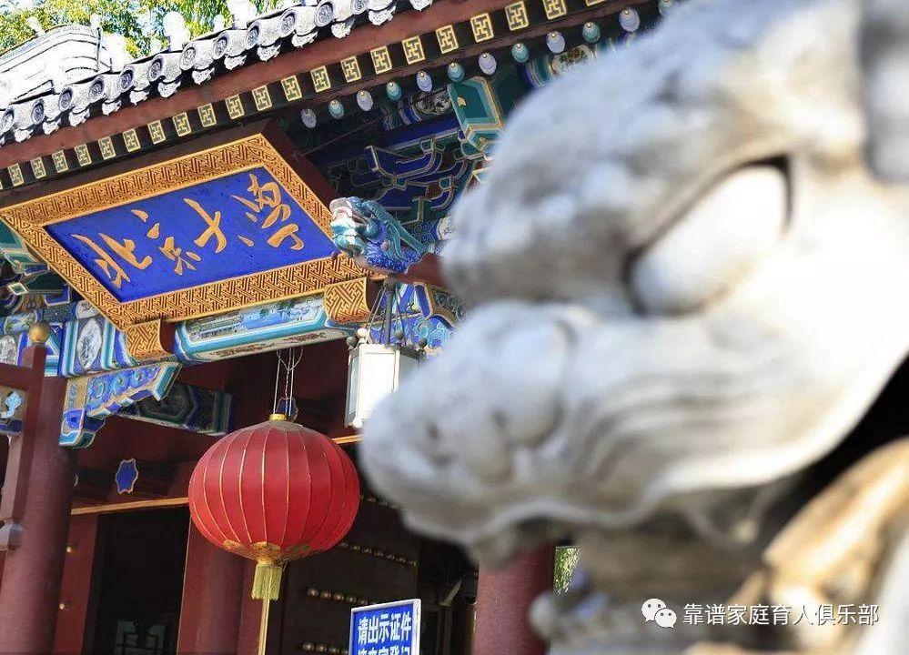 为什么课外补习班依然存在,课外辅导班有哪些问题