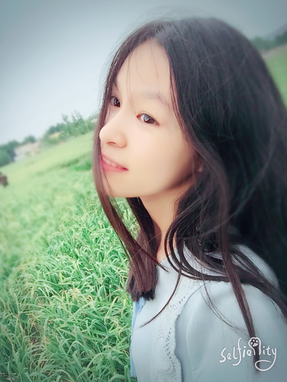 如何根据不同的茶类选择茶具,怎样挑选质量好价格合理的茶具