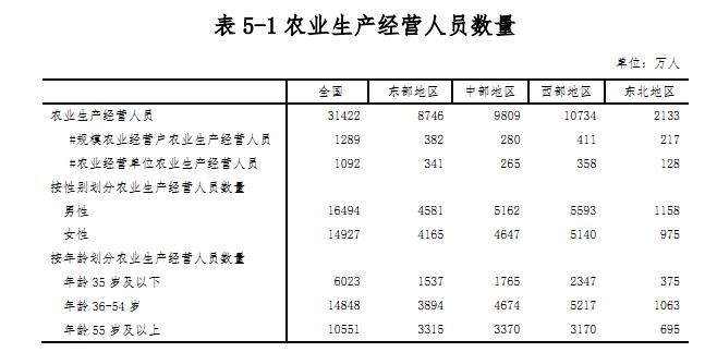 乡镇适合做什么互联网项目,在小县城如何做互联网