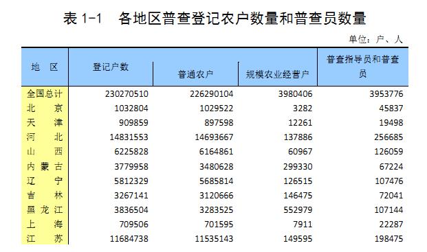 乡镇适合做什么互联网项目,在小县城如何做互联网